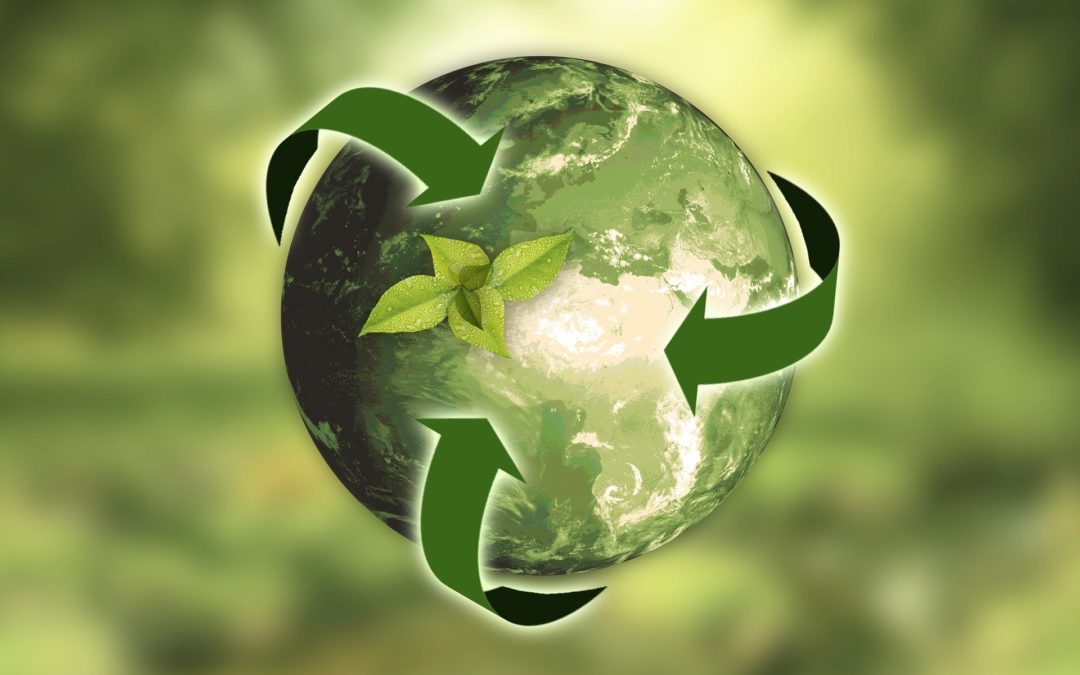 Bæredygtighed